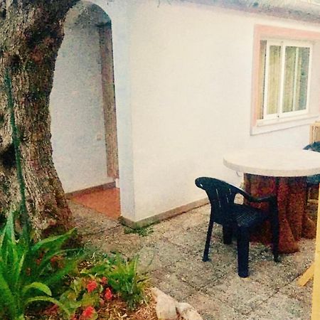 Olive Tree Apartments Rovinj Exterior photo